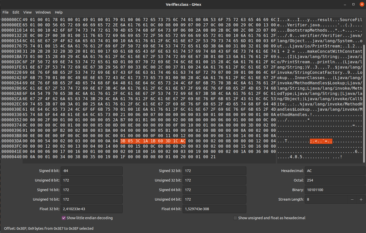 Verifier.class open inside hex editor